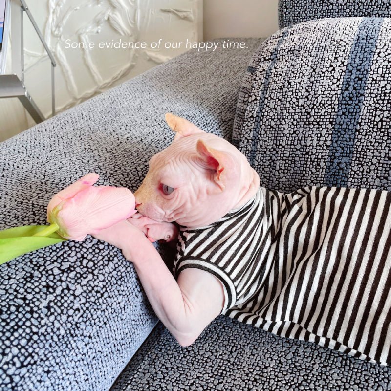Soft Breathable Light Stripes Onesies Sphynx Cat Clothes - PIKAPIKA