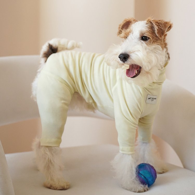 Soft Breathable Wool 4 - Leg Pajamas for Small Medium Dog Clothes - PIKAPIKA