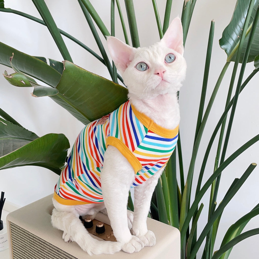 Soft Colorful Stripes Onesies for Sphynx Cat Devon Rex Clothes - PIKAPIKA