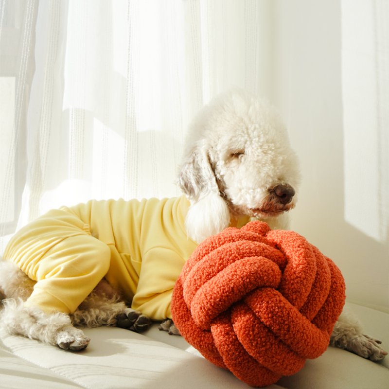 Soft Cotton Onesie Bedlington Dog Clothes - PIKAPIKA