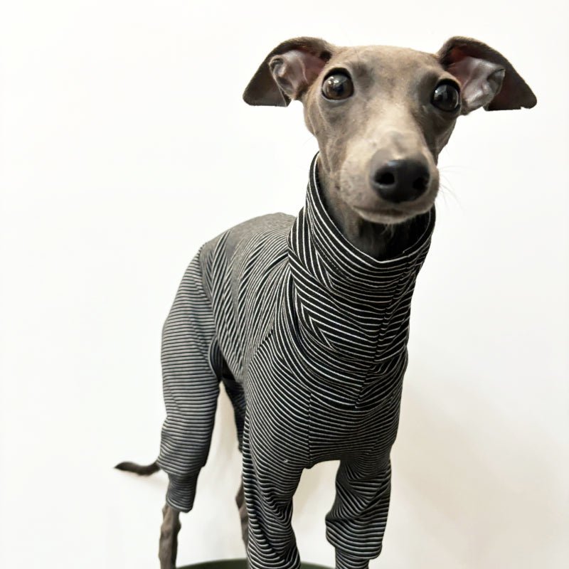 Soft Cotton Onesies Turtleneck Stripes 4 Legged Greyhound Whippet Dog Clothing - PIKAPIKA