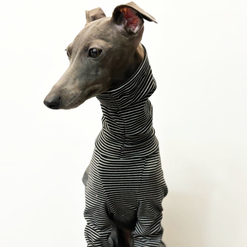 Soft Cotton Onesies Turtleneck Stripes 4 Legged Greyhound Whippet Dog Clothing - PIKAPIKA