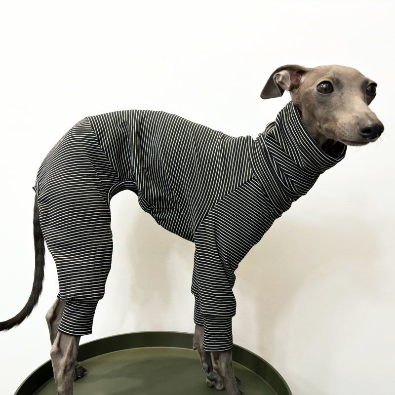 Soft Cotton Onesies Turtleneck Stripes 4 Legged Greyhound Whippet Dog Clothing - PIKAPIKA