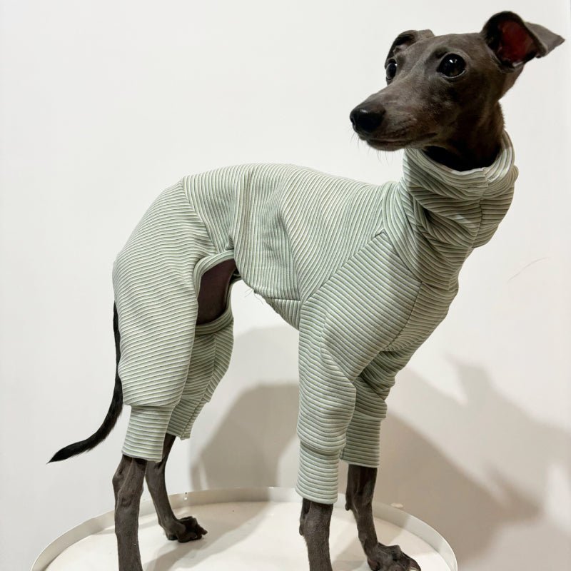 Soft Cotton Onesies Turtleneck Stripes 4 Legged Greyhound Whippet Dog Clothing - PIKAPIKA