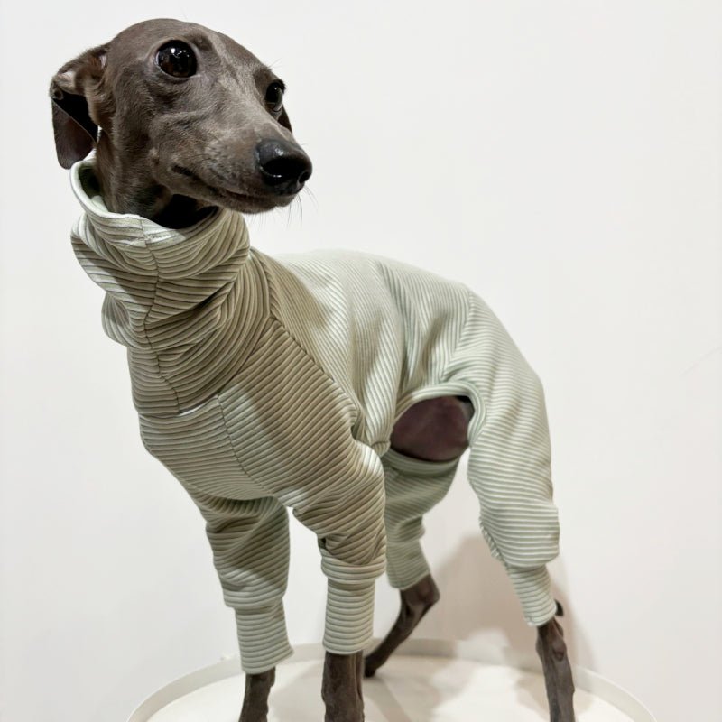Soft Cotton Onesies Turtleneck Stripes 4 Legged Greyhound Whippet Dog Clothing - PIKAPIKA