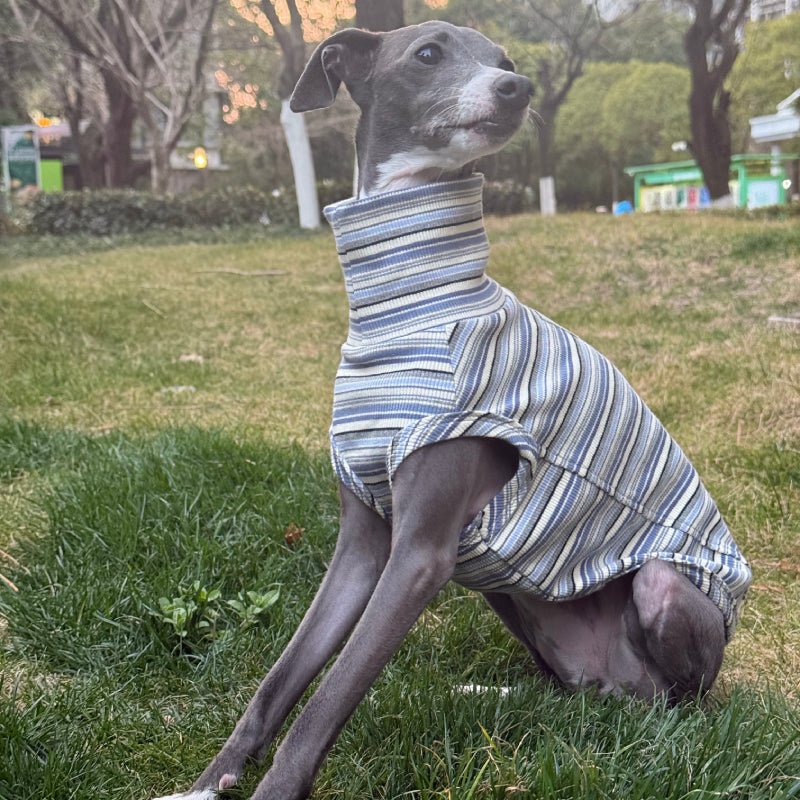 Soft Cotton Shirts for Italian Greyhound Whippet Dog Stripes Breathable Clothes - PIKAPIKA