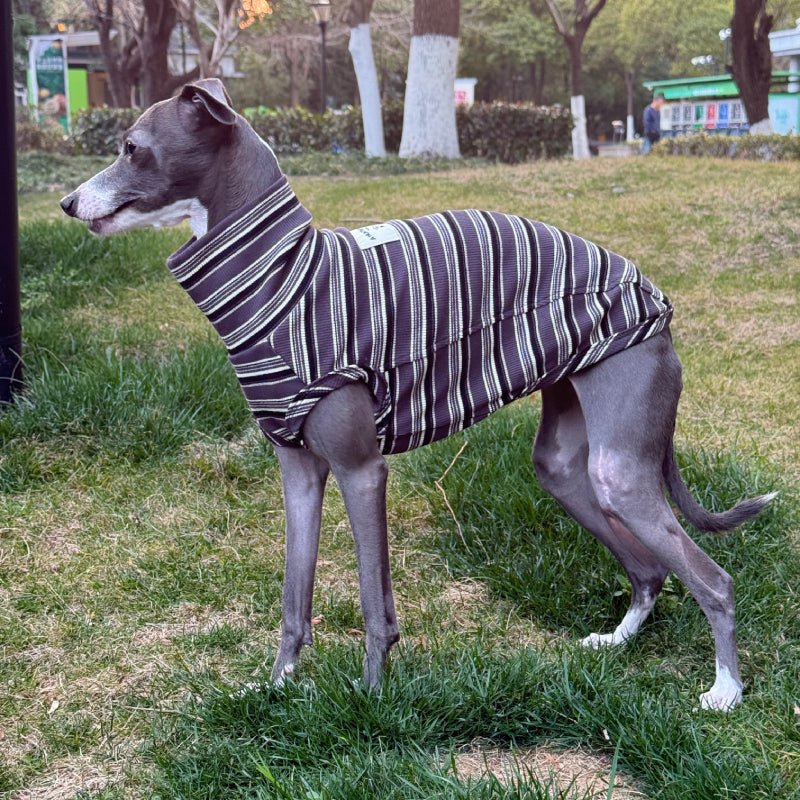 Soft Cotton Shirts for Italian Greyhound Whippet Dog Stripes Breathable Clothes - PIKAPIKA