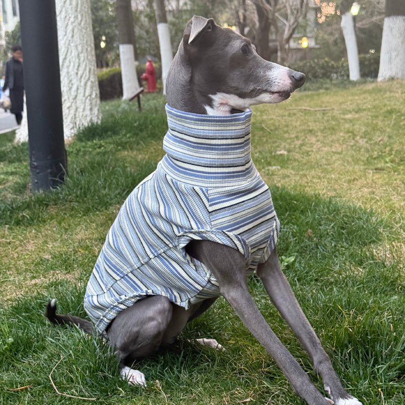 Soft Cotton Shirts for Italian Greyhound Whippet Dog Stripes Breathable Clothes - PIKAPIKA