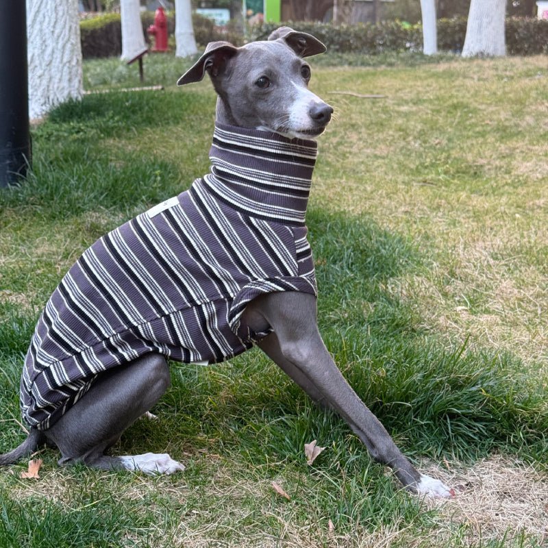 Soft Cotton Shirts for Italian Greyhound Whippet Dog Stripes Breathable Clothes - PIKAPIKA