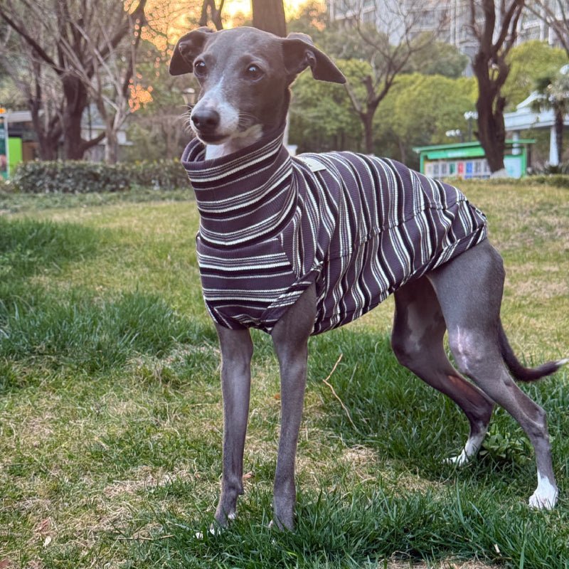 Soft Cotton Shirts for Italian Greyhound Whippet Dog Stripes Breathable Clothes - PIKAPIKA