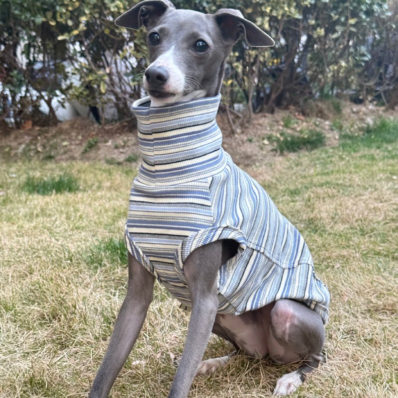 Soft Cotton Shirts for Italian Greyhound Whippet Dog Stripes Breathable Clothes - PIKAPIKA