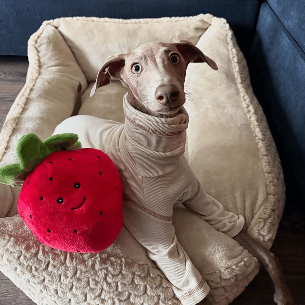 Soft Italian Greyhound Onesies Thick 4legs Dog Turtleneck Clothes Beige - PIKAPIKA
