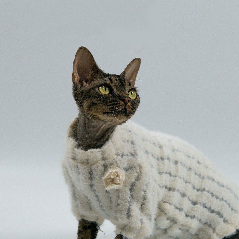 Soft Lace Knitting T-shirt Sphynx Cat Clothes - PIKAPIKA