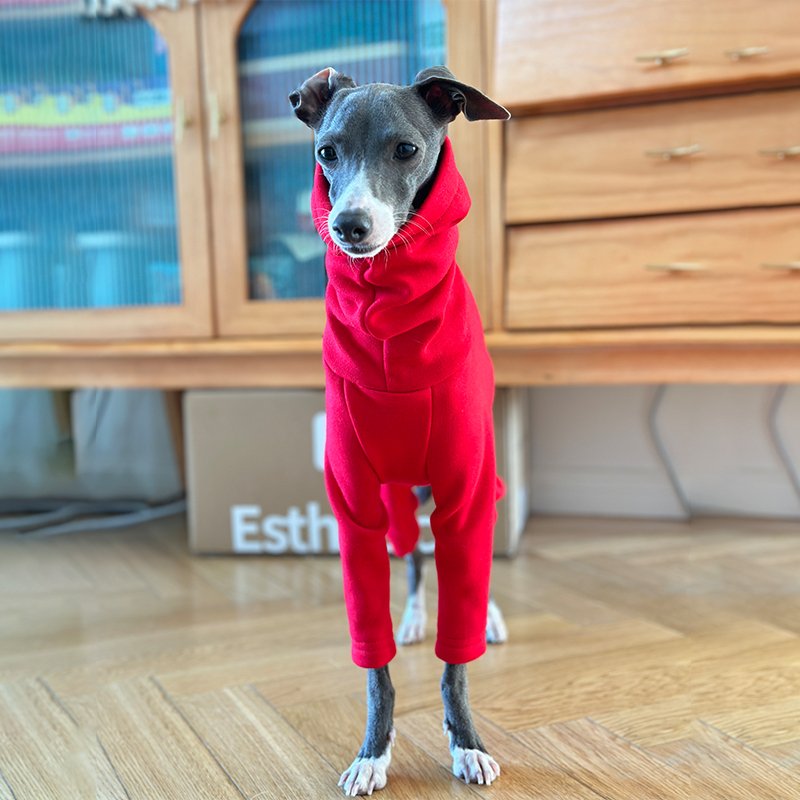 Soft Onesie for Italian greyhound Whippet Dog Clothes - PIKAPIKA