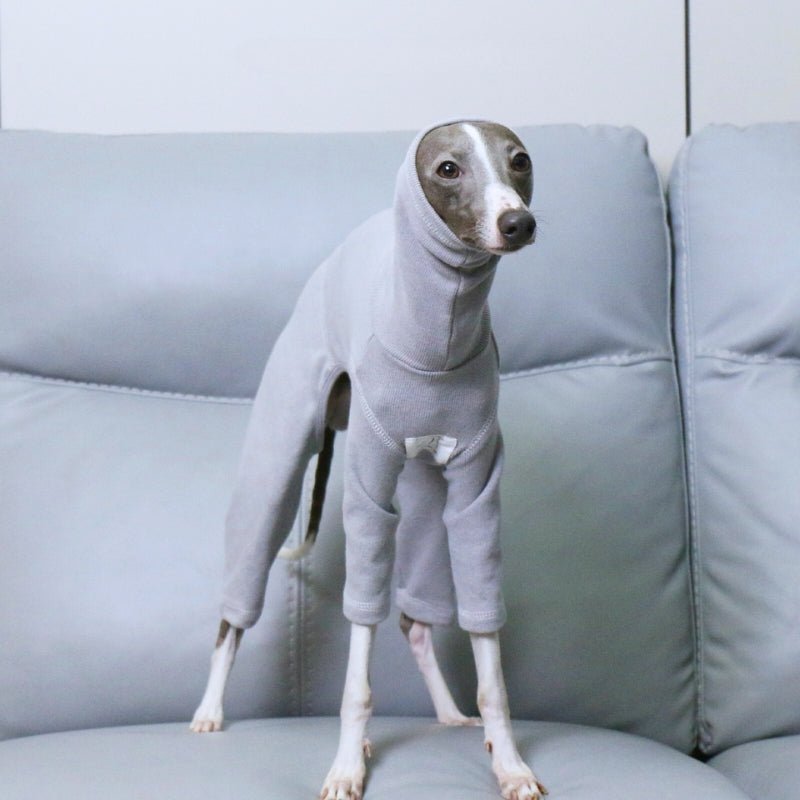 Soft Onesies 4 Legs Italian Greyhound Dog Turtleneck Clothes Gray - PIKAPIKA