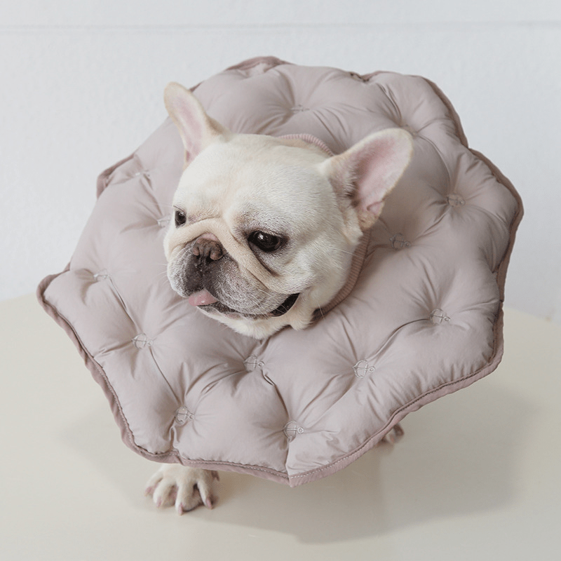 Soft Padded Cotton Elizabeth Collar Pet Recovery Cone - PIKAPIKA