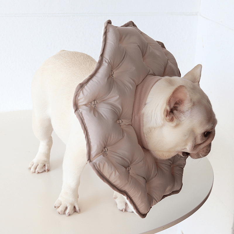 Soft Padded Cotton Elizabeth Collar Pet Recovery Cone - PIKAPIKA