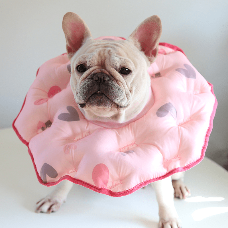 Soft Padded Cotton Elizabeth Collar Pet Recovery Cone - PIKAPIKA