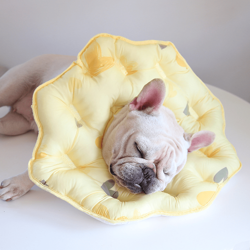 Soft Padded Cotton Elizabeth Collar Pet Recovery Cone - PIKAPIKA