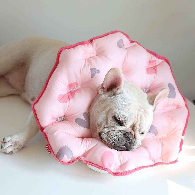 Soft Padded Cotton Elizabeth Collar Pet Recovery Cone - PIKAPIKA