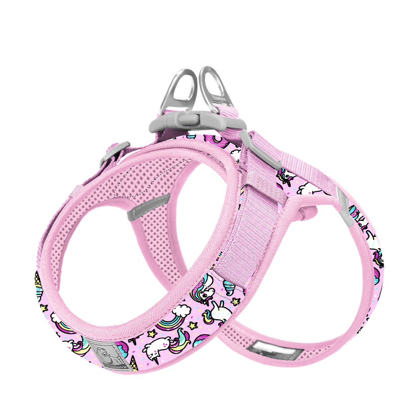 Soft Reflection Vest - Style Dog Harness Leash Set for Small Medium Dogs - PIKAPIKA