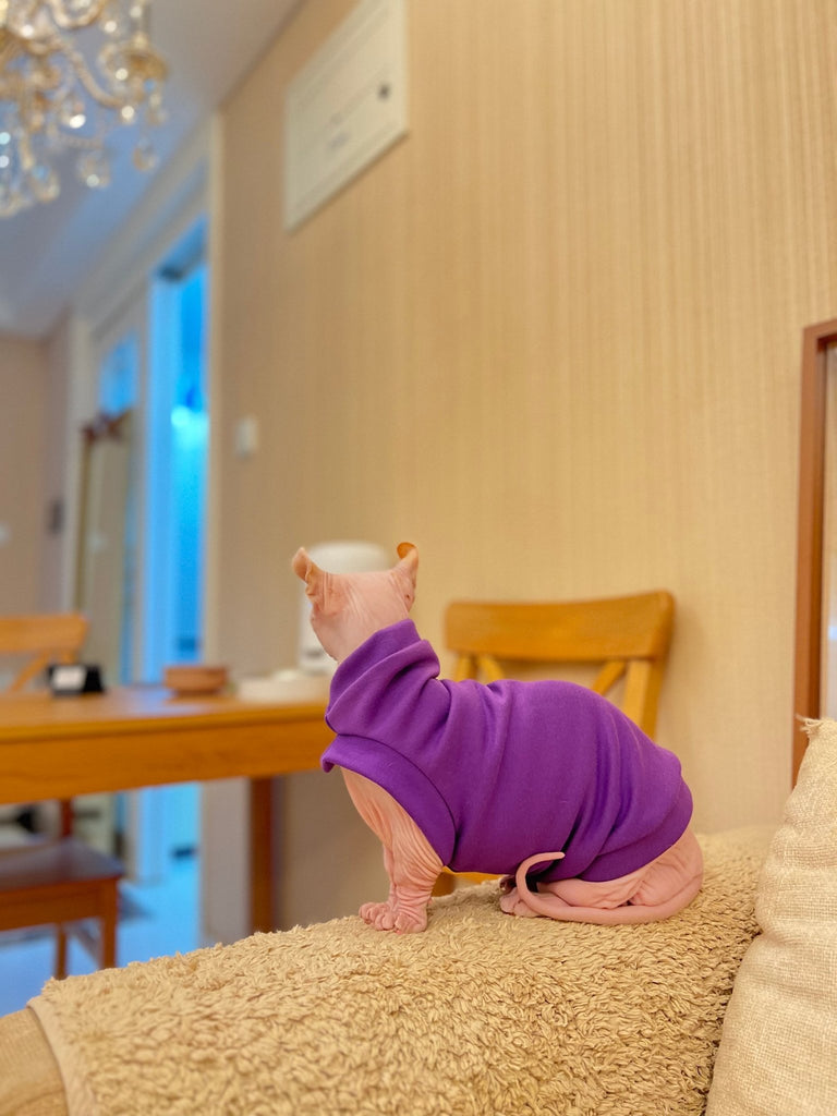 Soft T-shirts Sphynx Cat Clothes One Hole - PIKAPIKA