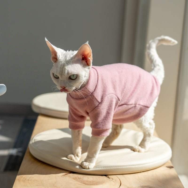 Solid Color Round Sleeve Cotton Base Layer Air - Conditioned Shirt Sphynx Cat Clothes - PIKAPIKA