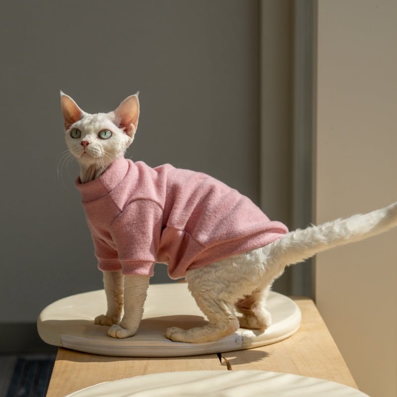 Solid Color Round Sleeve Cotton Base Layer Air - Conditioned Shirt Sphynx Cat Clothes - PIKAPIKA