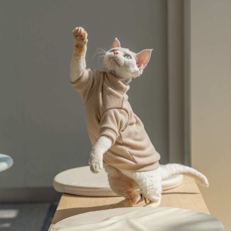 Solid Color Round Sleeve Cotton Base Layer Air - Conditioned Shirt Sphynx Cat Clothes - PIKAPIKA