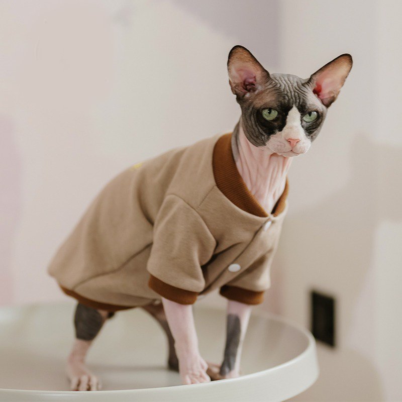 Sphynx Cat Clothes Cotton Baseball Jacket - PIKAPIKA