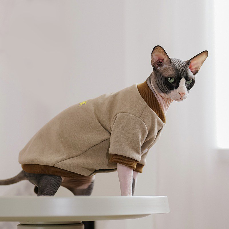 Sphynx Cat Clothes Cotton Baseball Jacket - PIKAPIKA