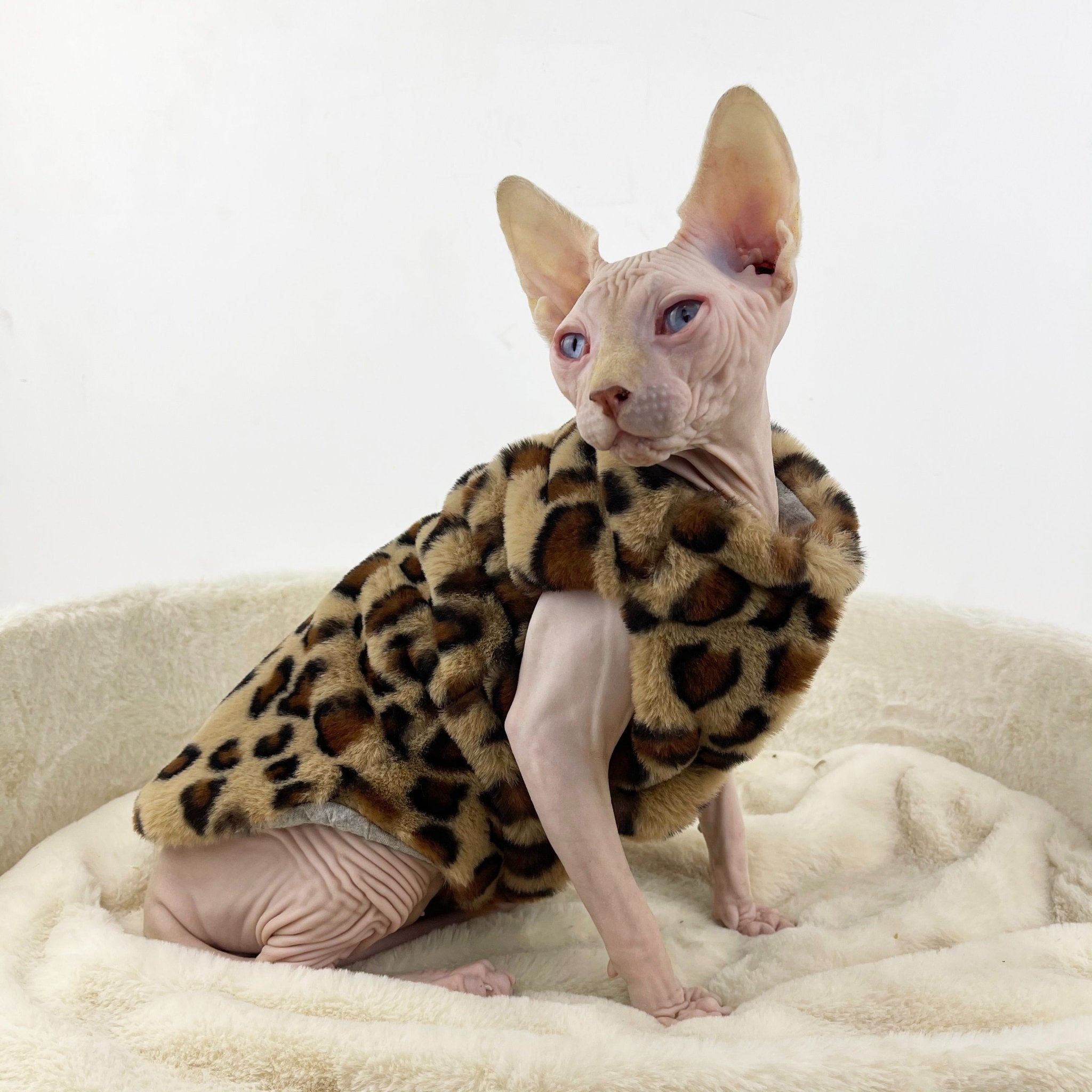 sphynx-cat-clothes-faux-fur-