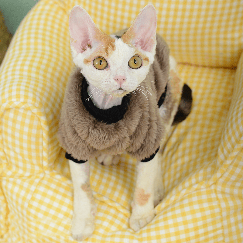 Sphynx Cat Clothes Hand Made Fleece Sweatshirts Warm - PIKAPIKA