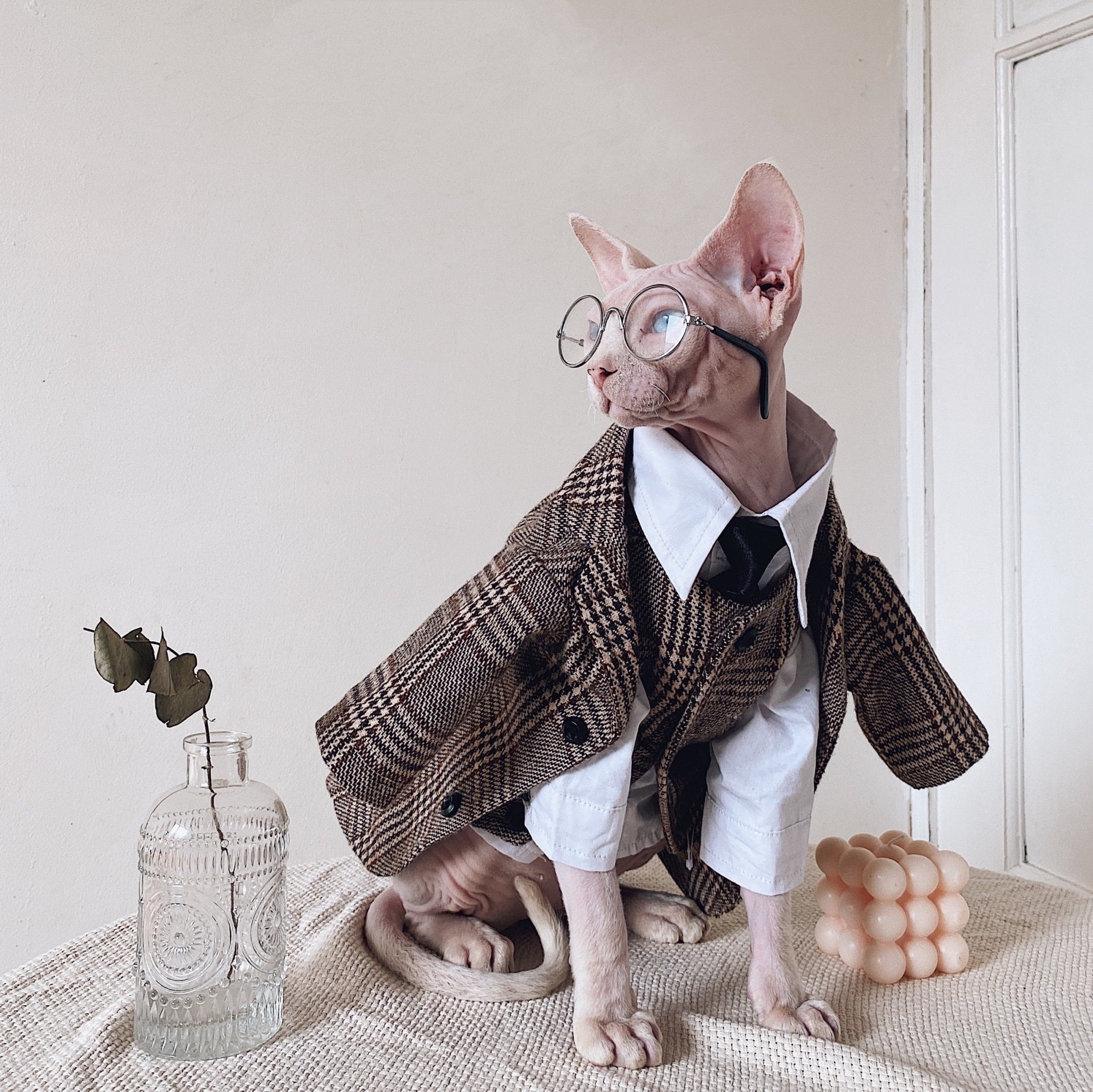 sphynx-cat-clothes-plaid-suit-