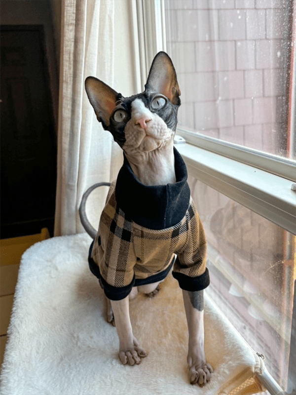 Sphynx Cat Clothes Plaid Turtleneck Pullover Shirts Sweatshirts - PIKAPIKA