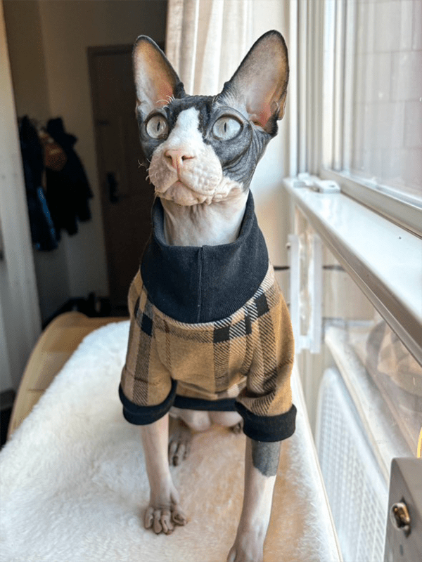 Sphynx Cat Clothes Plaid Turtleneck Pullover Shirts Sweatshirts - PIKAPIKA