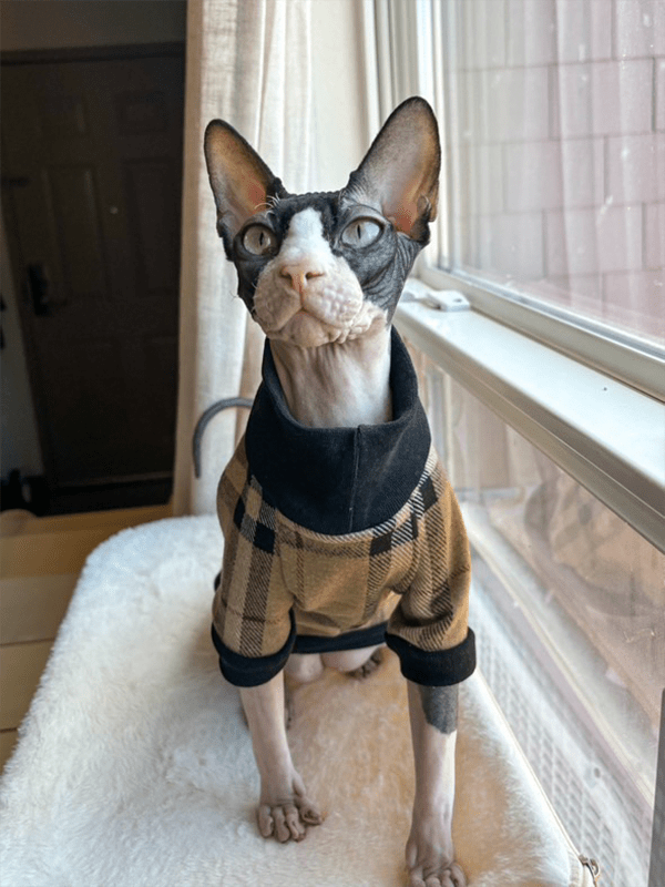 Sphynx Cat Clothes Plaid Turtleneck Pullover Shirts Sweatshirts - PIKAPIKA