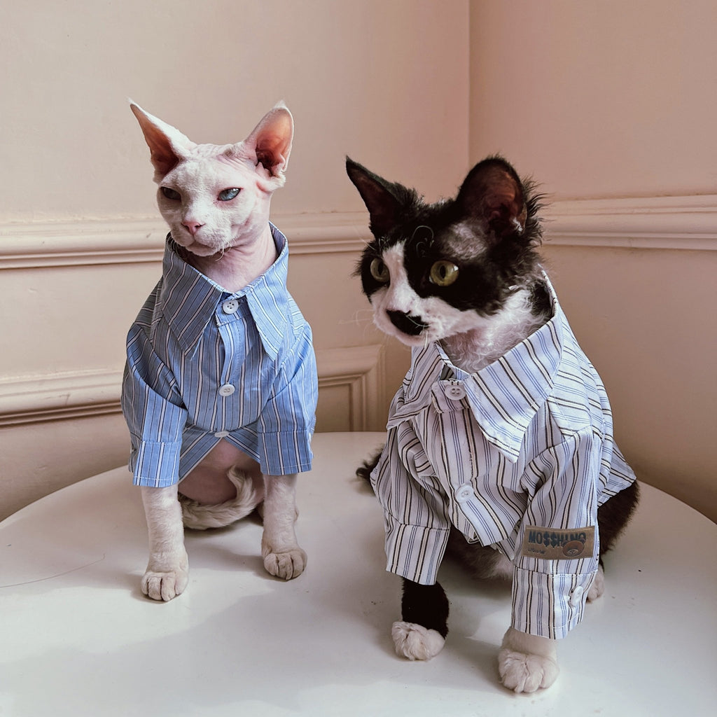 Sphynx Cat Clothes Stripe Cotton Shirt - PIKAPIKA