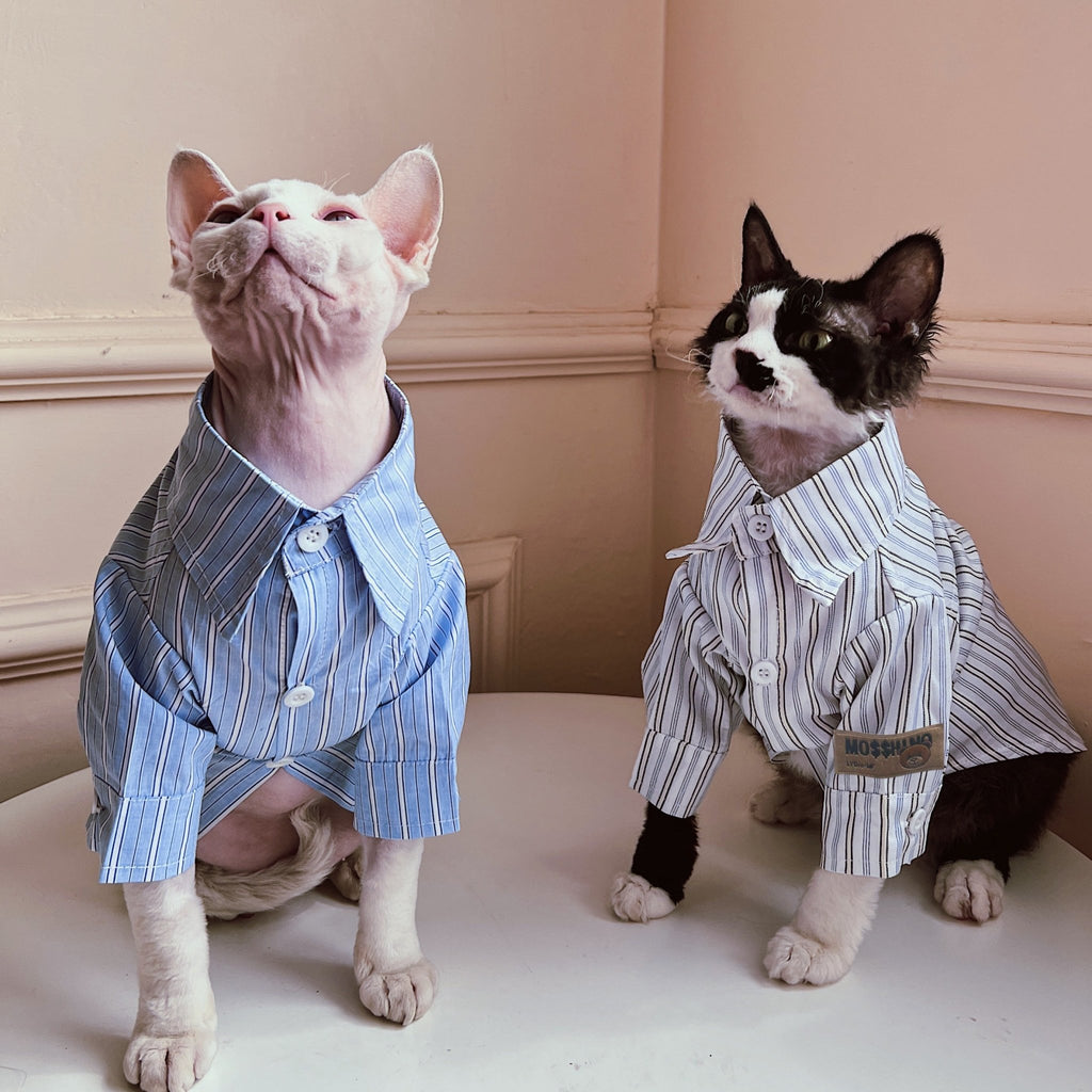 Sphynx Cat Clothes Stripe Cotton Shirt - PIKAPIKA
