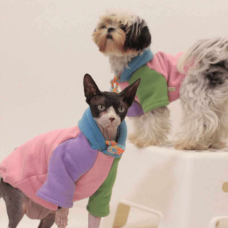 Sphynx Cat Clothes Tie Dye Hoodie Casual Devon Rex Clothes - PIKAPIKA