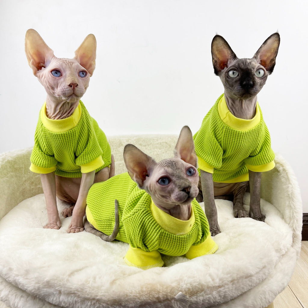 Sphynx Cat Clothes Waffle Shirts - PIKAPIKA