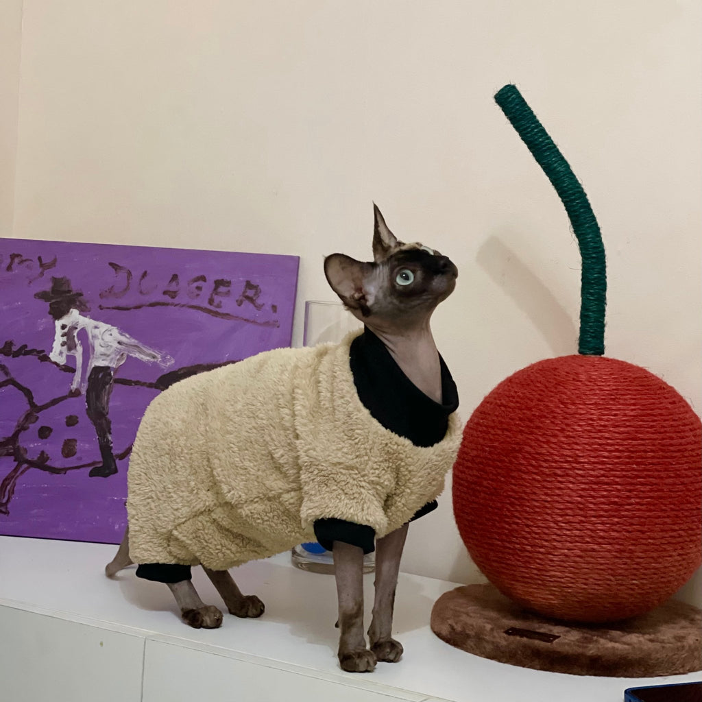 Sphynx Cat Coat Fleece Highneck Onesies 4Legs Cover Devon Rex Clothes - PIKAPIKA