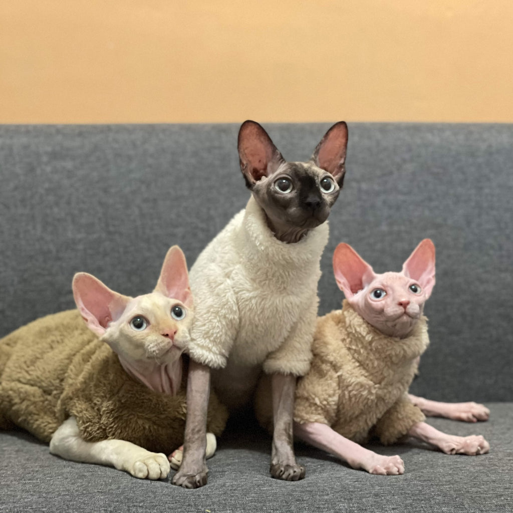Sphynx Cat Coat Pullover Onesies Highneck Fleece Warm Soft Devon Rex Clothes - PIKAPIKA