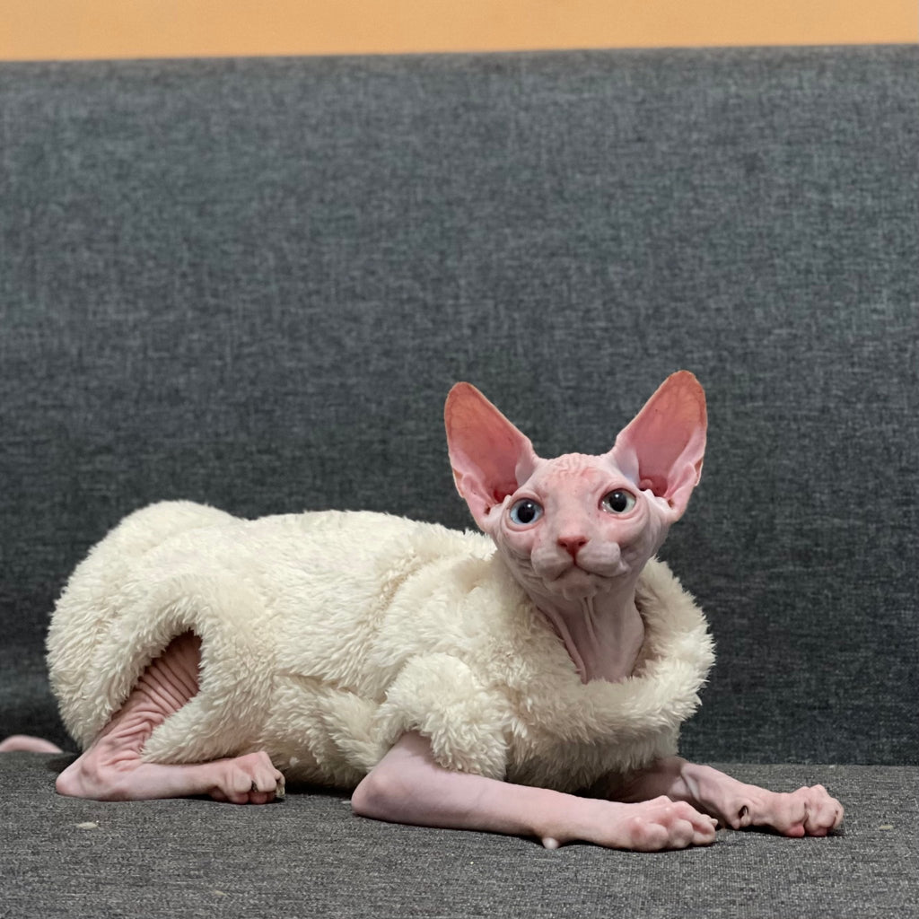 Sphynx Cat Coat Pullover Onesies Highneck Fleece Warm Soft Devon Rex Clothes - PIKAPIKA