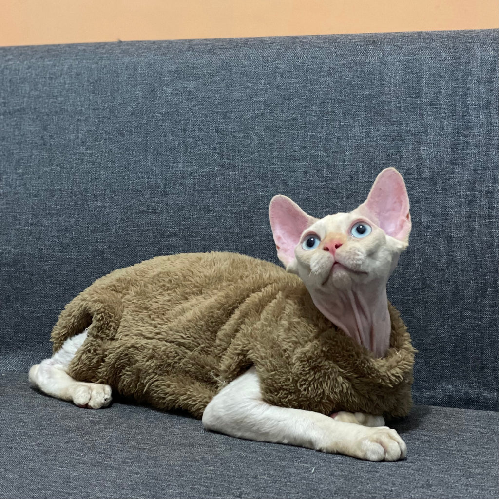 Sphynx Cat Coat Pullover Onesies Highneck Fleece Warm Soft Devon Rex Clothes - PIKAPIKA