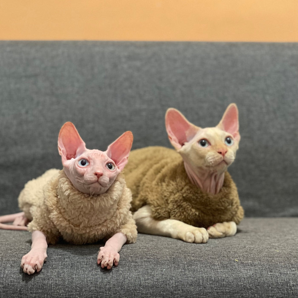 Sphynx Cat Coat Pullover Onesies Highneck Fleece Warm Soft Devon Rex Clothes - PIKAPIKA