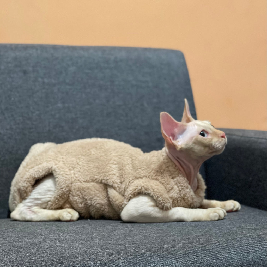 Sphynx Cat Coat Pullover Onesies Highneck Fleece Warm Soft Devon Rex Clothes - PIKAPIKA