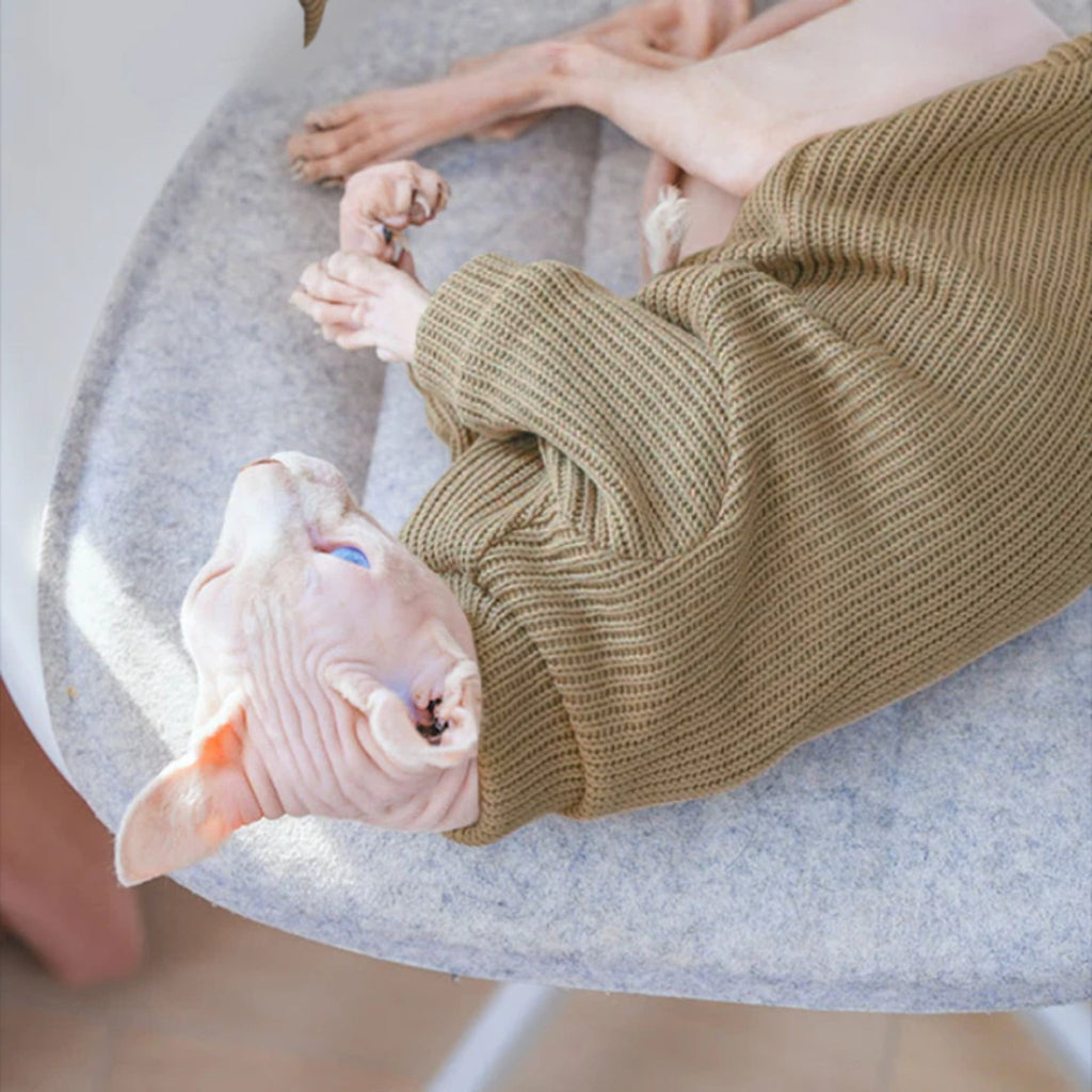 Sphynx Cat Sweater Pullover Top Highneck Cable Knit Devon Rex Clothes - PIKAPIKA