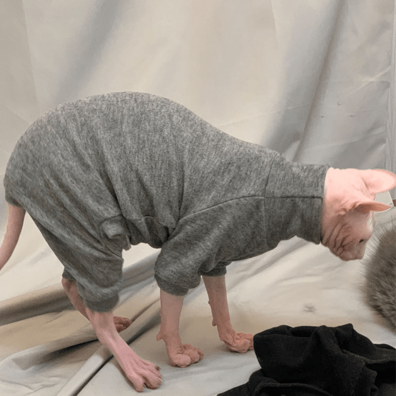 Sphynx Cat Sweaters Pullover Onesies Cashmere Sweater Devon Rex Clothes - PIKAPIKA