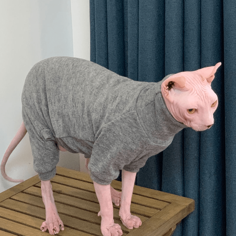 Sphynx Cat Sweaters Pullover Onesies Cashmere Sweater Devon Rex Clothes - PIKAPIKA